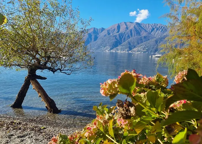 Casa Andrea Panorama By Fewotessin Gerra (Locarno)